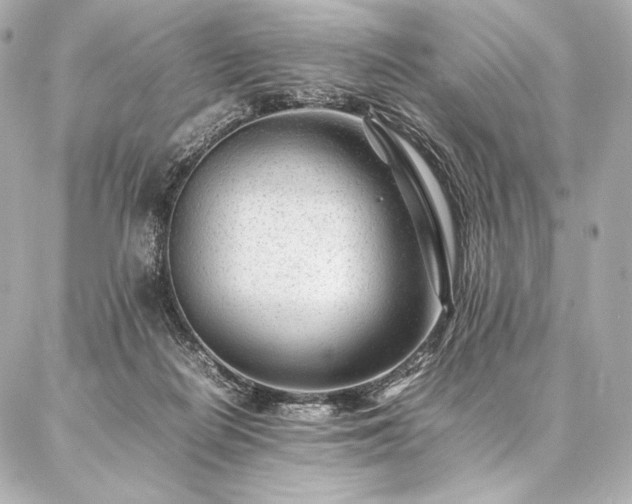 X0000086970266200704231523