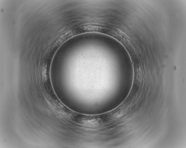 X0000086970267200704231523