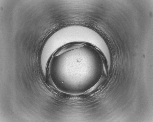 X0000086970268200704231523