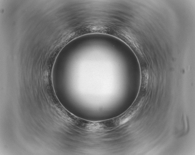 X0000086970269200704231523