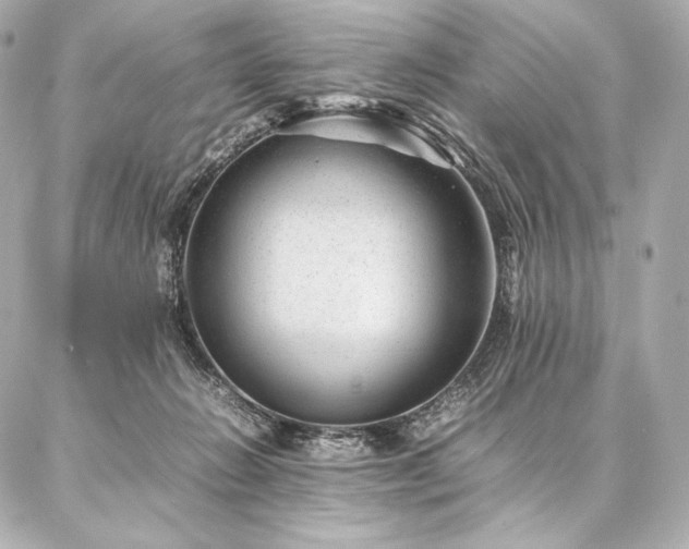 X0000086970270200704231523