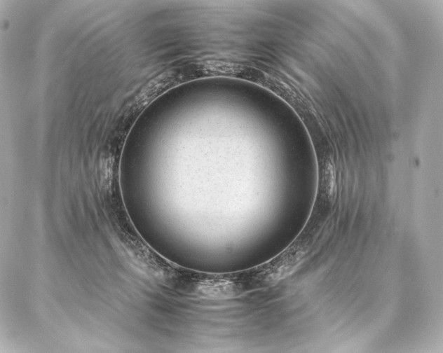 X0000086970271200704231523