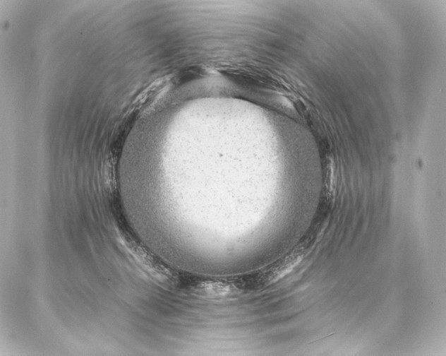 X0000086970272200704231523