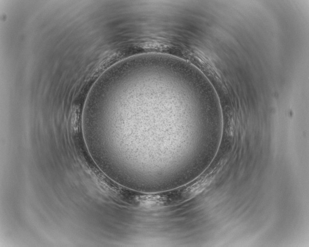 X0000086970273200704231523