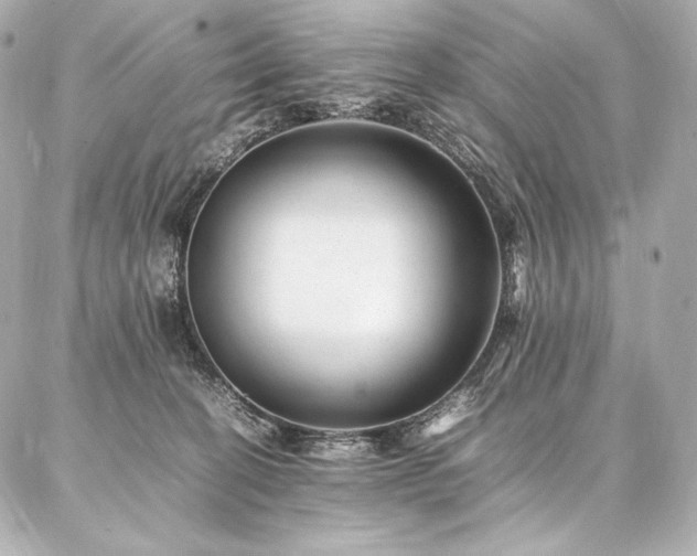 X0000086970274200704231523