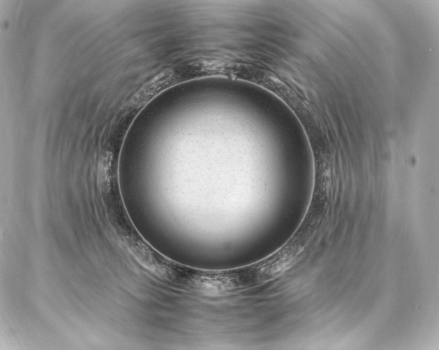 X0000086970275200704231523