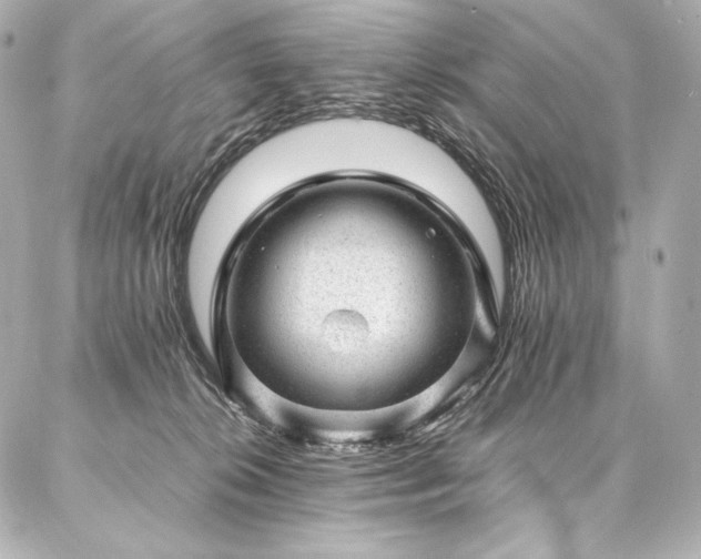 X0000086970276200704231523