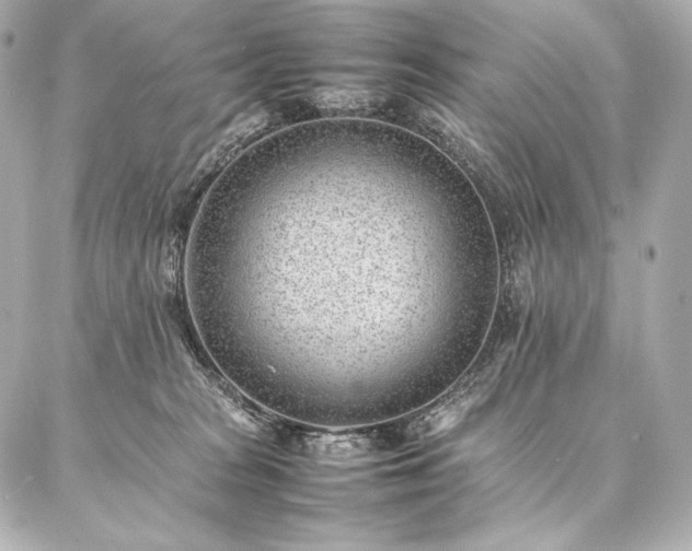 X0000086970277200704231523