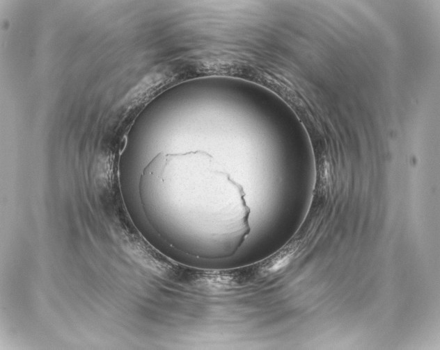 X0000086970278200704231523