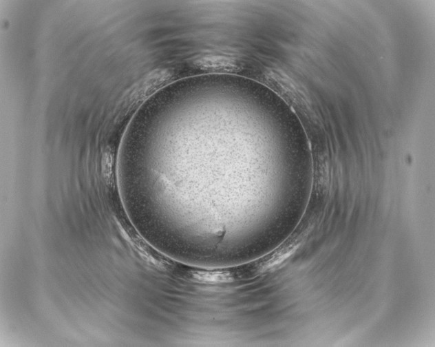 X0000086970281200704231523