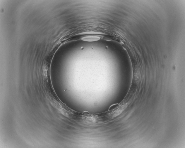 X0000086970282200704231523