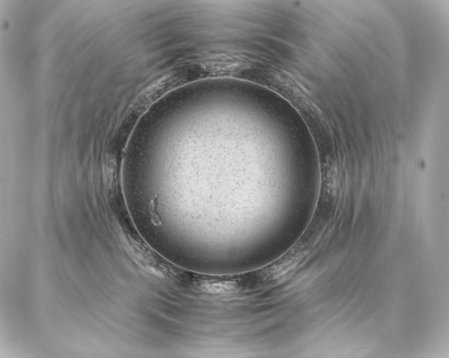 X0000086970283200704231523