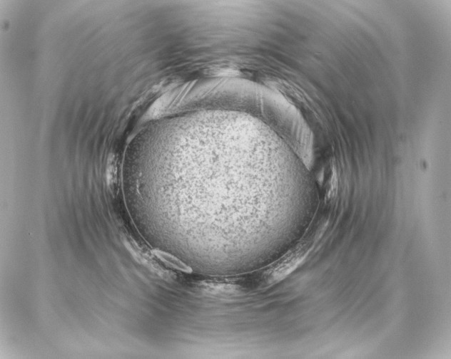 X0000086970284200704231523