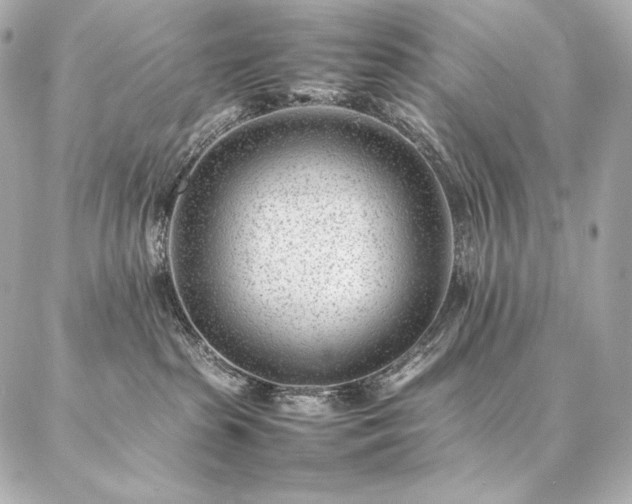 X0000086970285200704231523