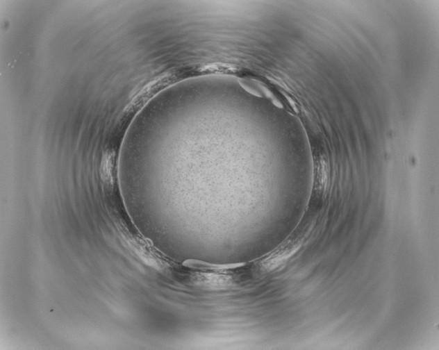 X0000086970286200704231523