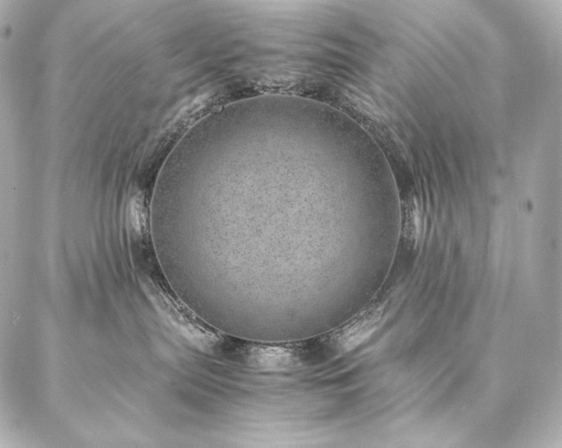 X0000086970287200704231523