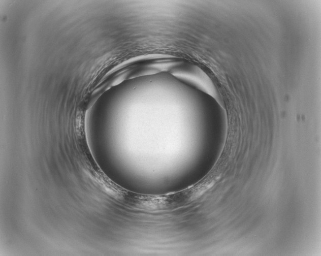 X0000086970288200704231523