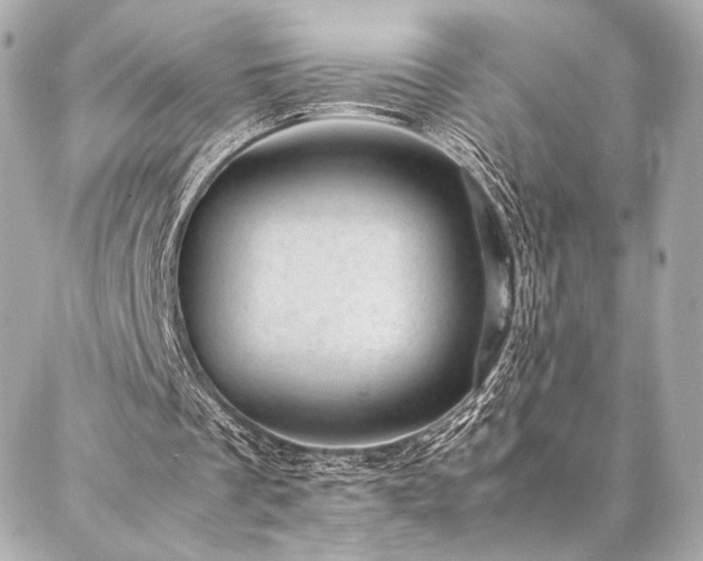 X0000086970289200704231522