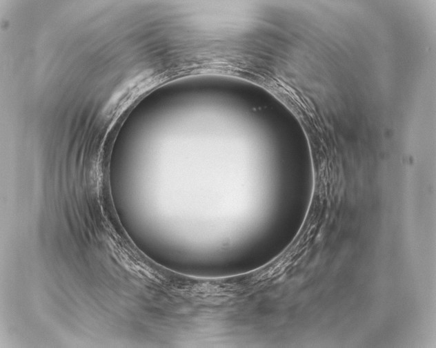 X0000086970290200704231522