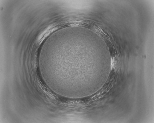 X0000086970291200704231522