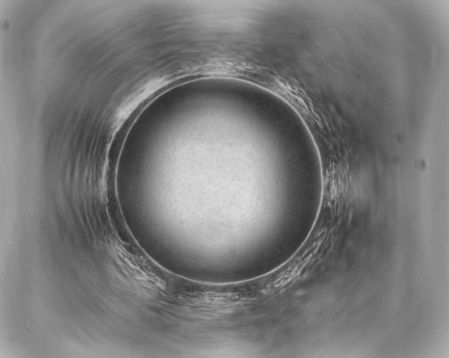 X0000086970292200704231522