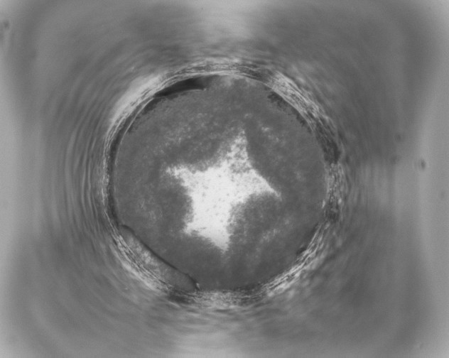 X0000086970293200704231522