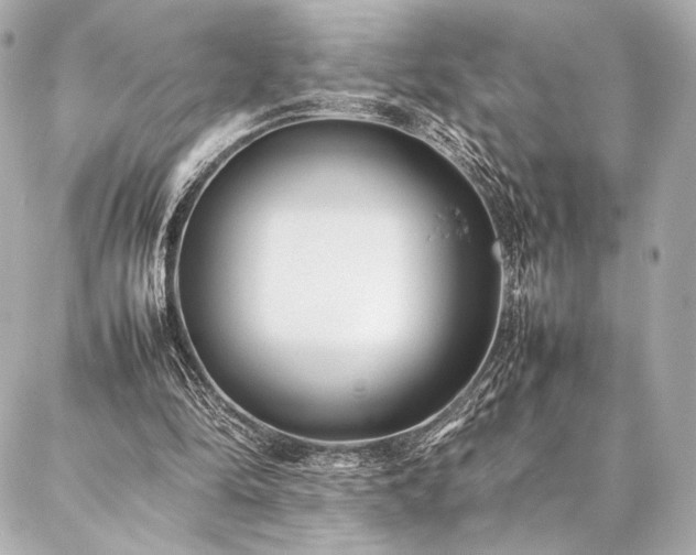 X0000086970294200704231522