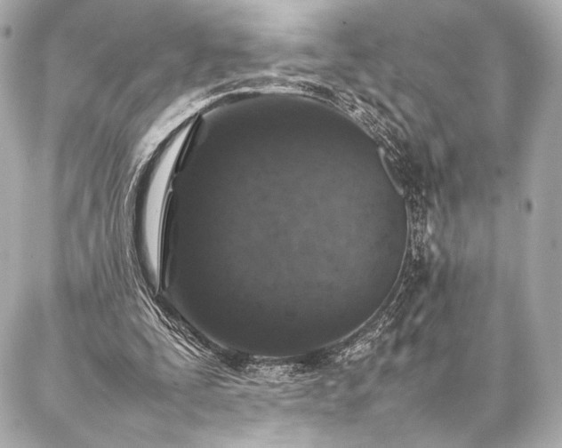 X0000086970295200704231522