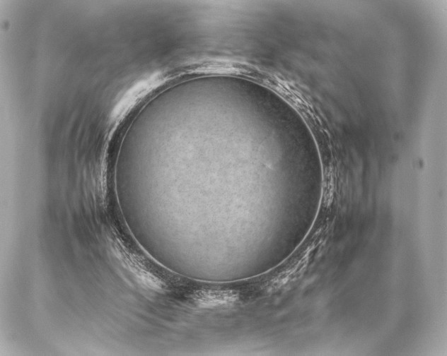 X0000086970296200704231522