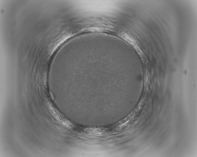 X0000086970297200704231522