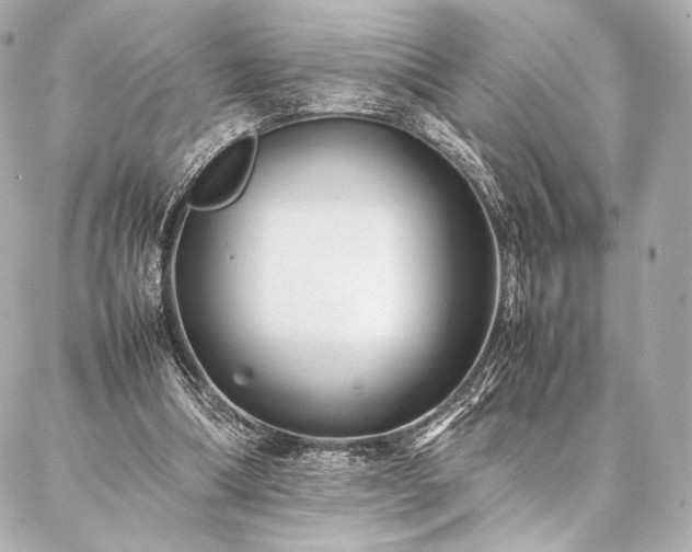 X0000086970298200704231522