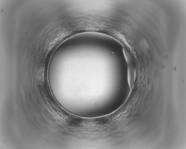 X0000086970299200704231522