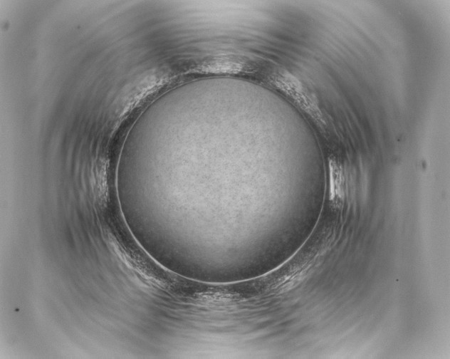 X0000086970300200704231522