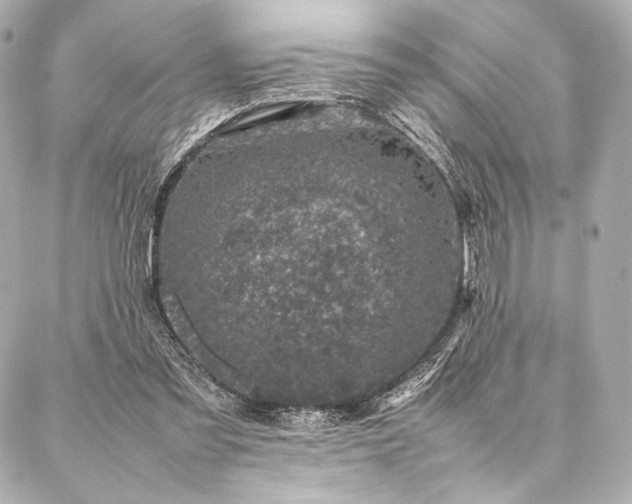 X0000086970301200704231522