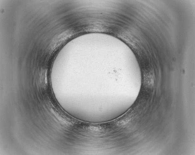 X0000086970302200704231522