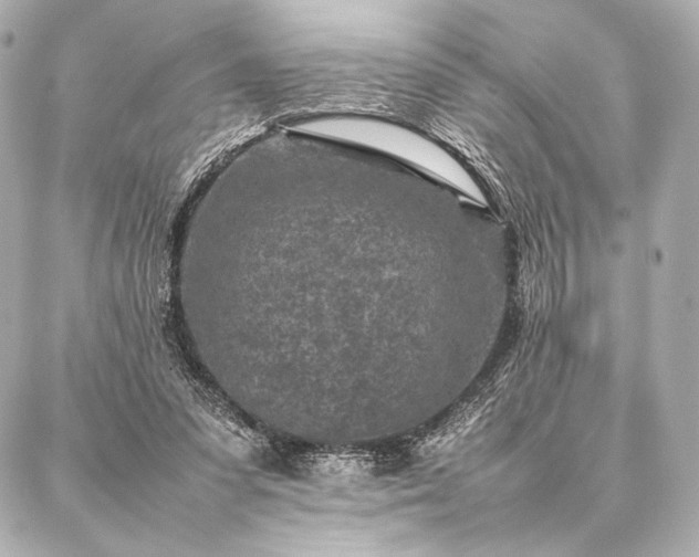 X0000086970303200704231522