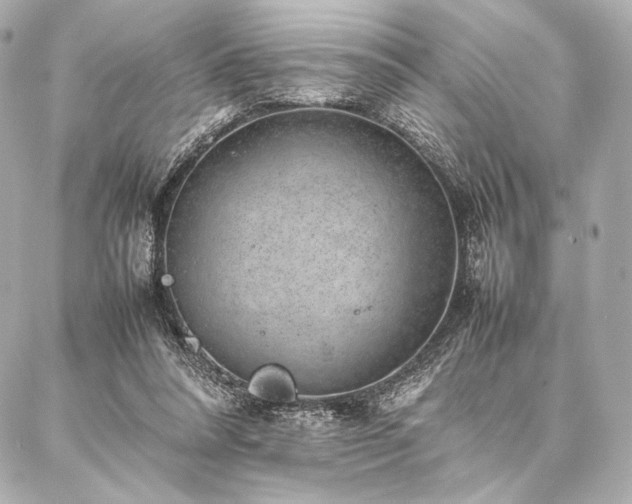 X0000086970304200704231522