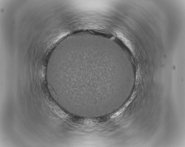 X0000086970305200704231522