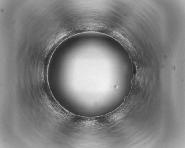 X0000086970306200704231522