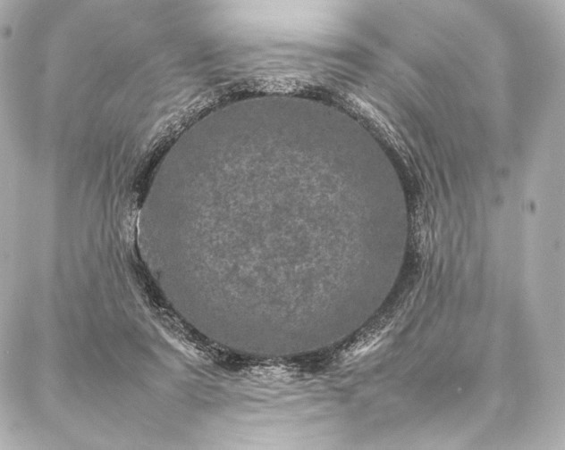 X0000086970307200704231522