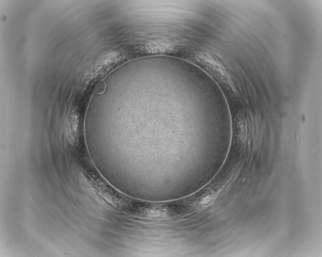 X0000086970308200704231522