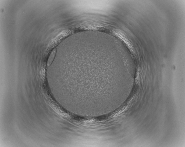 X0000086970309200704231522