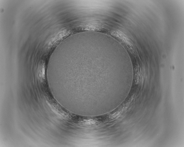 X0000086970310200704231522