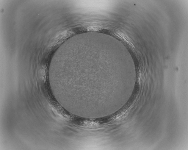 X0000086970311200704231522