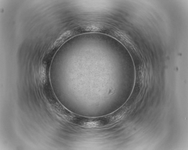 X0000086970312200704231522