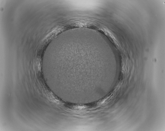 X0000086970313200704231522