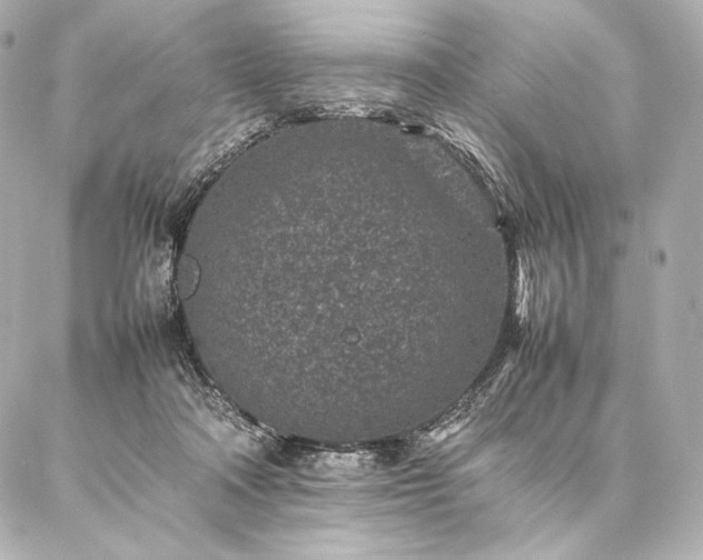 X0000086970314200704231522