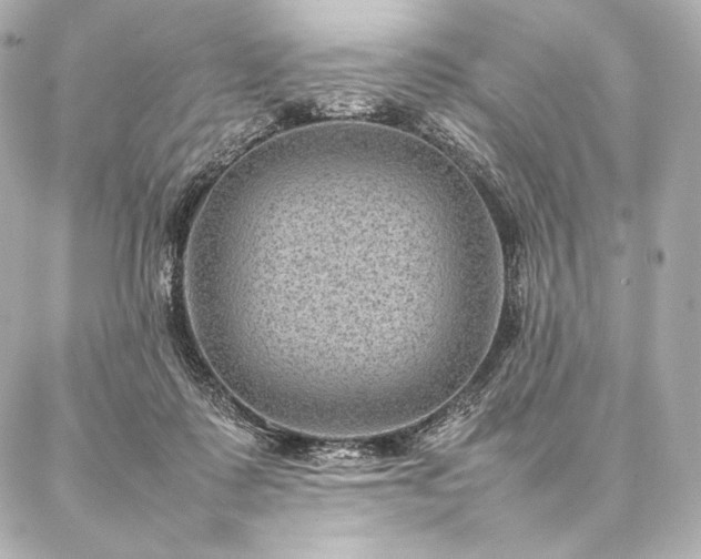 X0000086970315200704231522