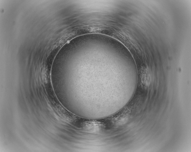 X0000086970316200704231522