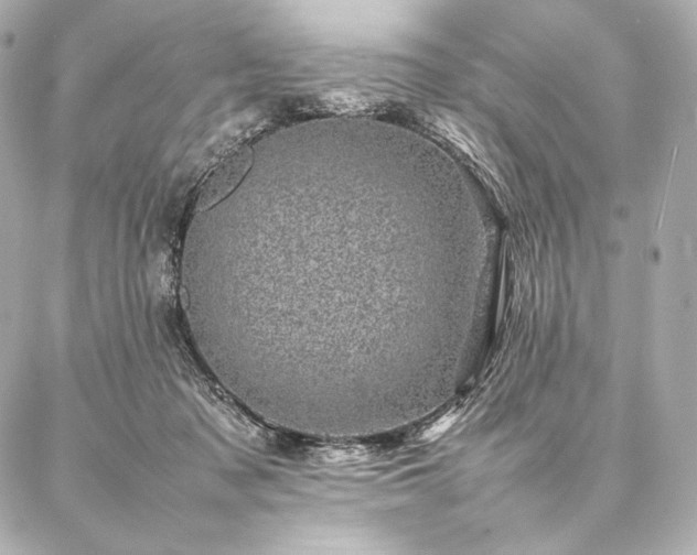 X0000086970317200704231522